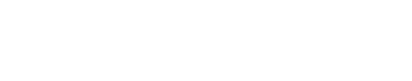 True Level White Logo