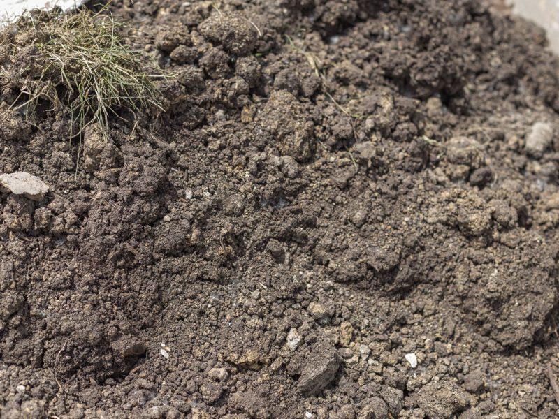 Dirt close up Foundation Settlement