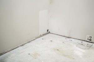 Interior Basement Slab - South Surrey 3