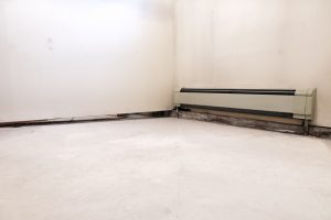 Interior Slabjacking - East Vancouver