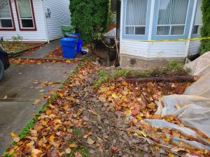 Foundation crack from a distance - True Level Concrete