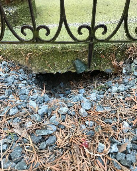 Hole under sidewalk