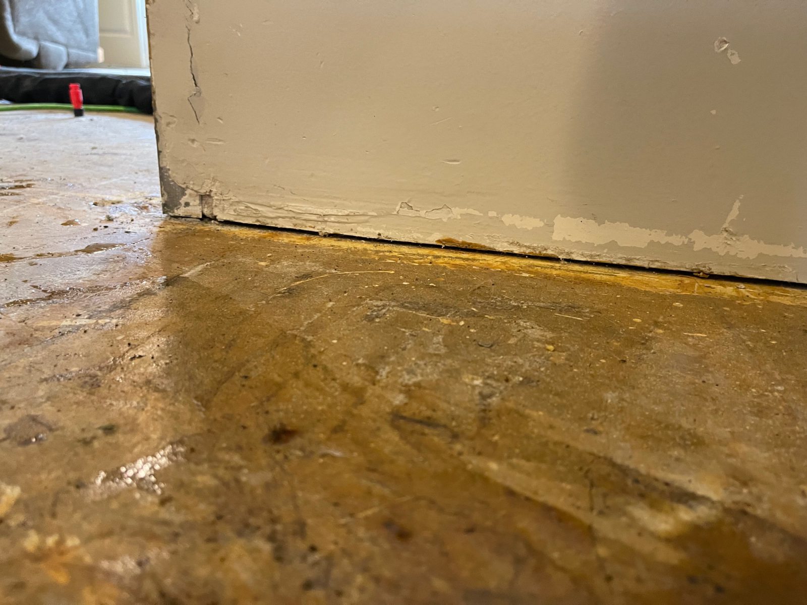 Gallery image with a fresh perspective
