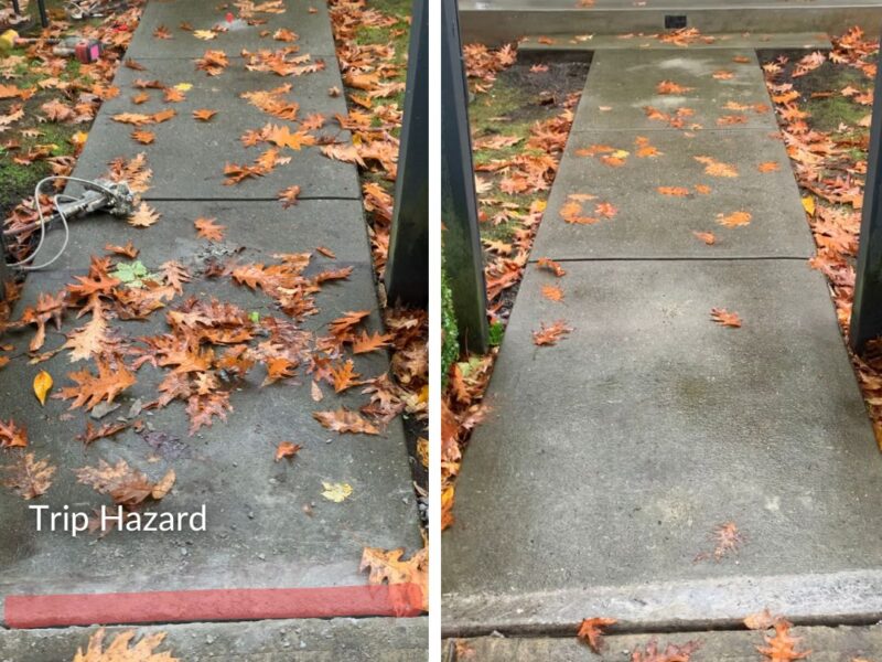 Surrey Home Concrete Walkway Repair Before After