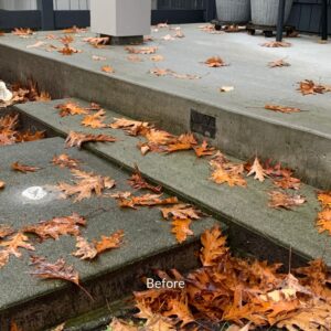 Surrey Home Walkway Concrete Repair Before