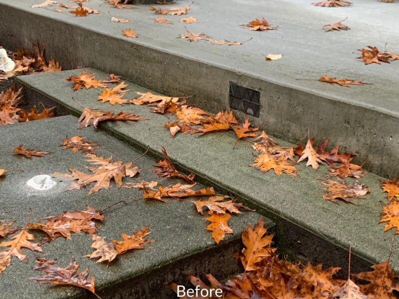 Surrey Home Walkway Concrete Repair Before
