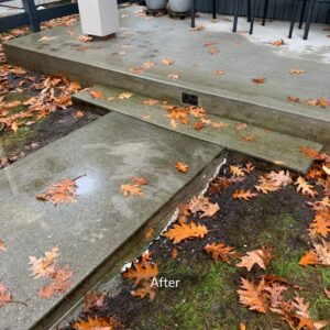 Surrey Home Walkway Concrete Repair After
