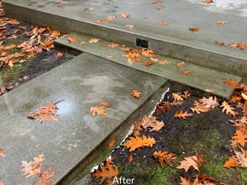 Surrey Home Walkway Concrete Repair After