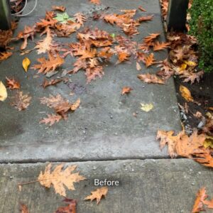 Surrey Home Walkway Concrete Repair Before After
