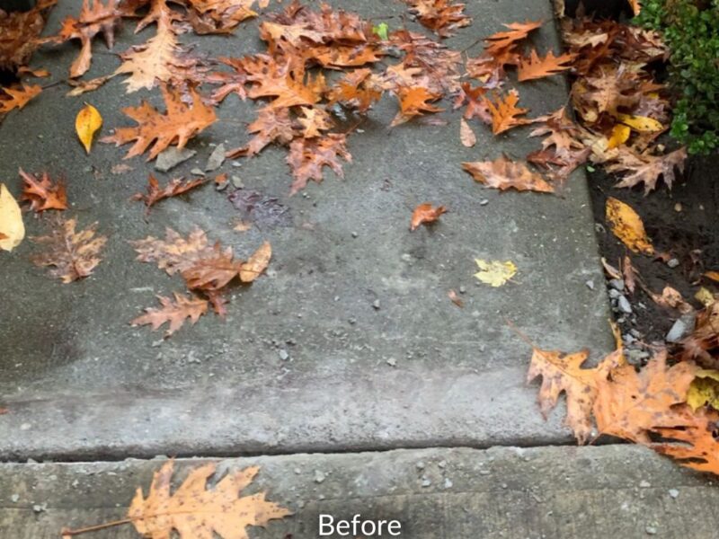 Surrey Home Walkway Concrete Repair Before After