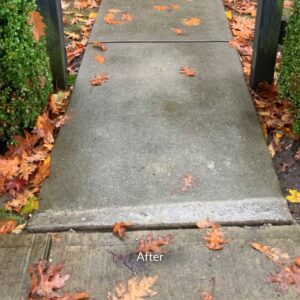 Surrey Home Walkway Concrete Repair Before After
