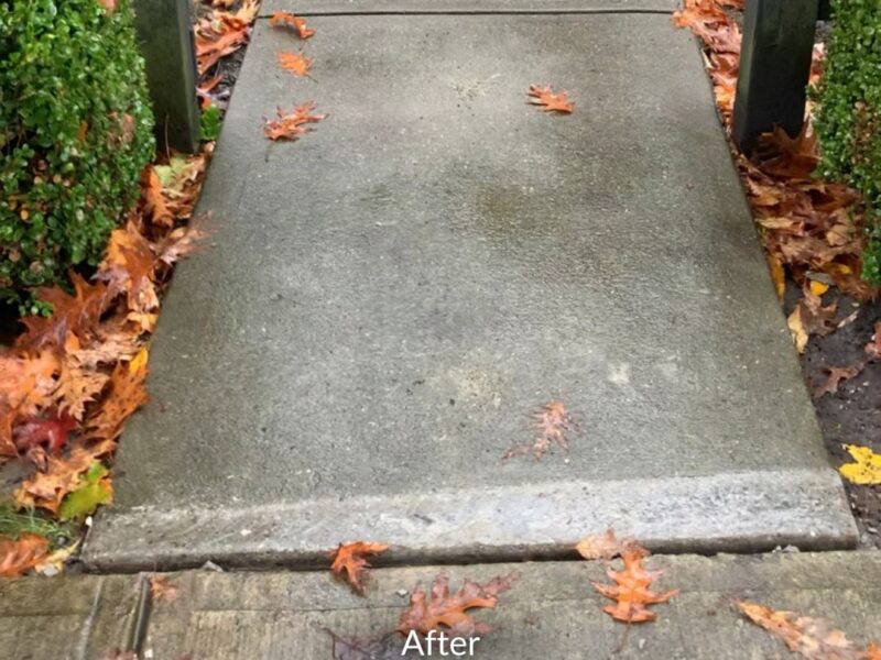 Surrey Home Walkway Concrete Repair Before After