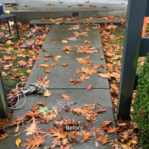 Surrey Home Concrete Walkway Repair Before