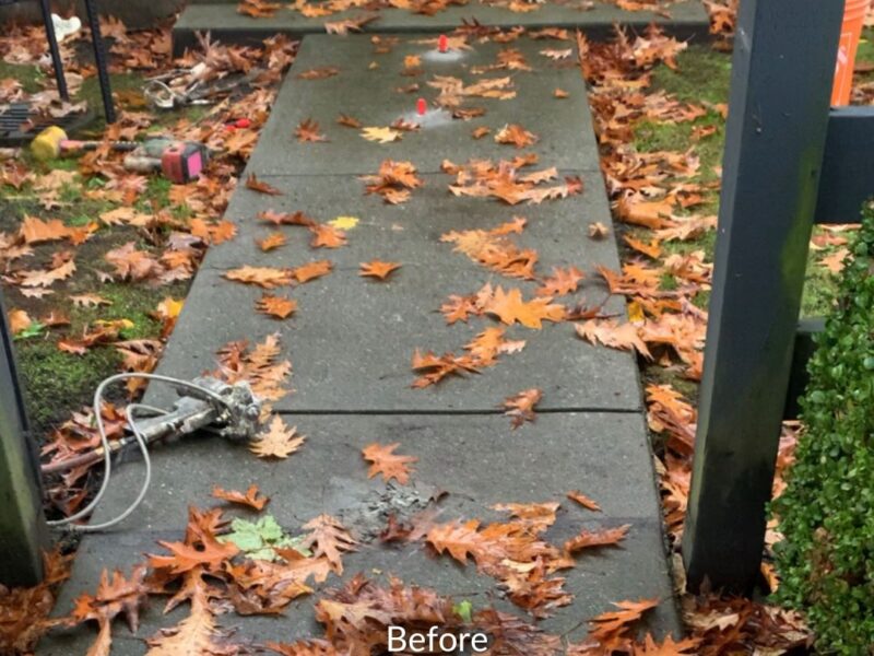 Surrey Home Concrete Walkway Repair Before