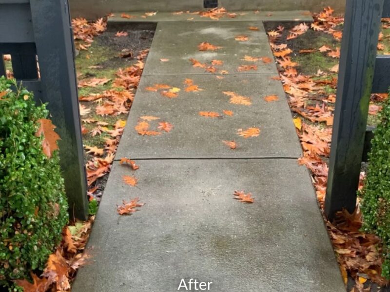 Surrey Home Walkway Concrete Repair After