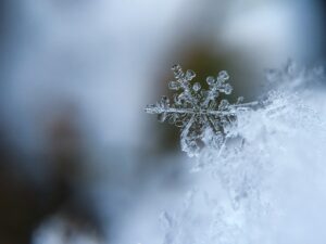 snowflake macro image