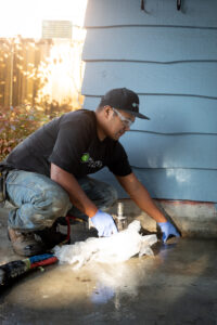 crew lead injecting polylevel
