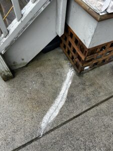 After: Cracked concrete due to settlement is repaired