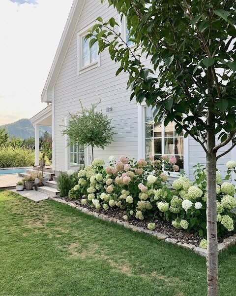 shrubs next to house foundation