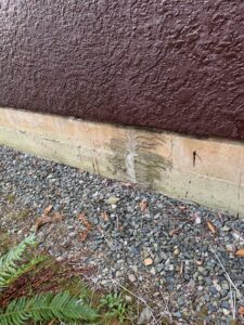 foundation patches