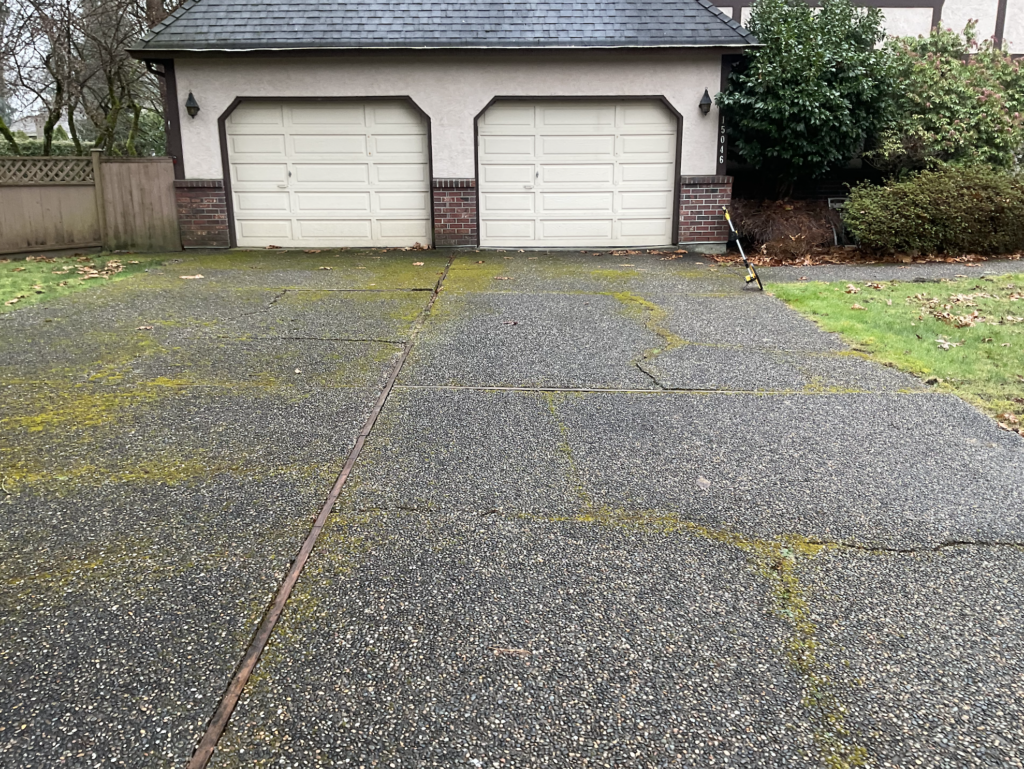 Before image of sunken and cracked driveway. Moss growing between the cracks.